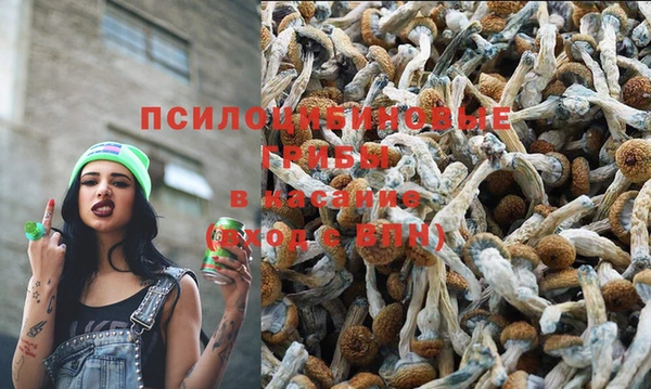 дживик Аркадак