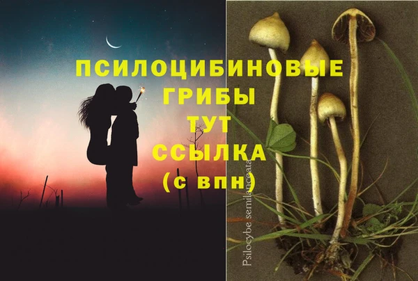 метамфетамин Армянск
