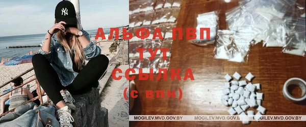 дживик Аркадак