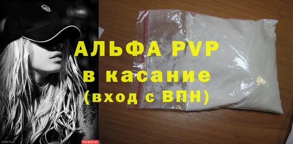 стаф Арсеньев
