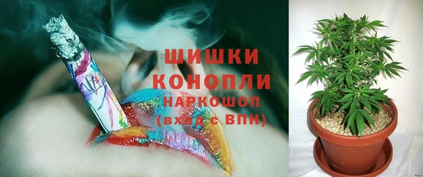 дживик Аркадак